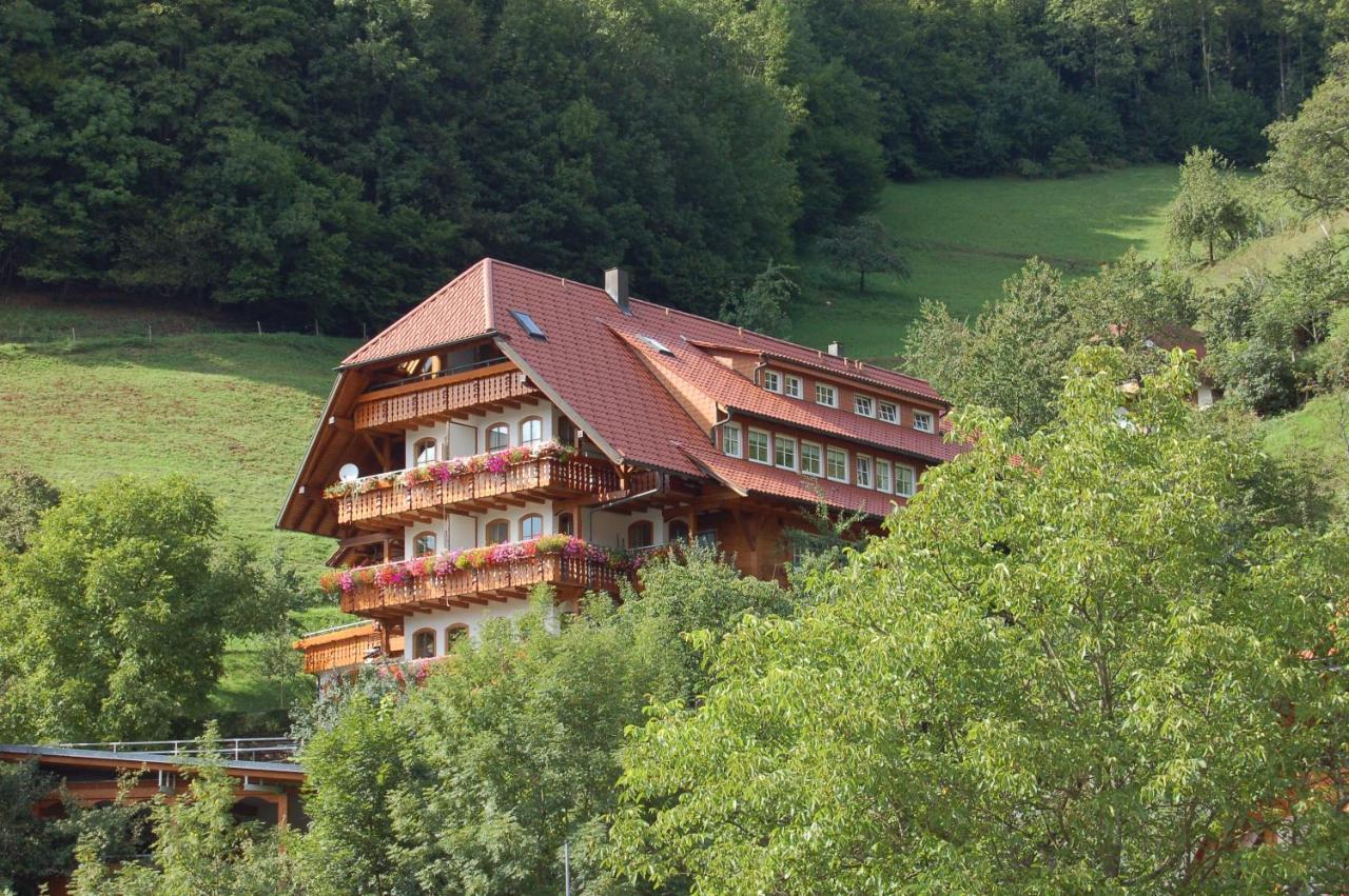 Ehrenmaettlehof Faisst Aparthotel Bad Peterstal-Griesbach Εξωτερικό φωτογραφία