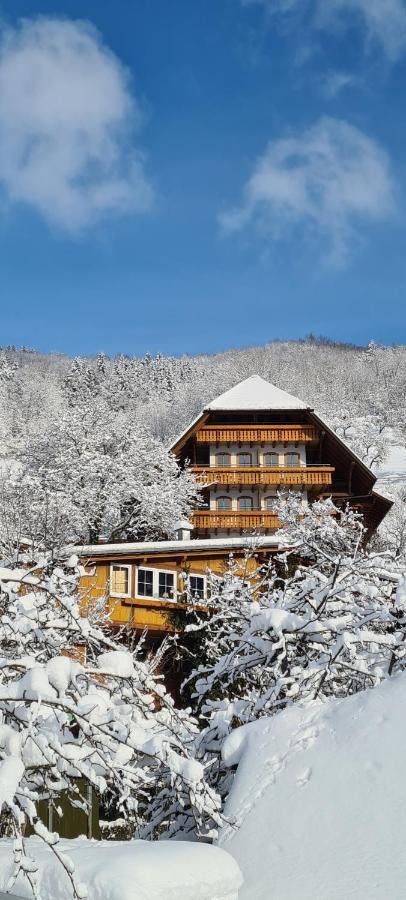 Ehrenmaettlehof Faisst Aparthotel Bad Peterstal-Griesbach Εξωτερικό φωτογραφία