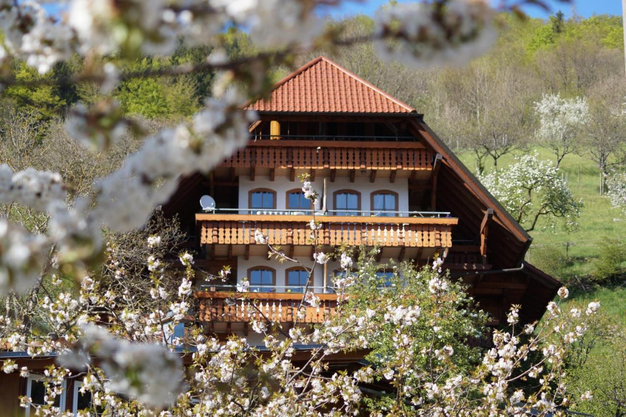 Ehrenmaettlehof Faisst Aparthotel Bad Peterstal-Griesbach Εξωτερικό φωτογραφία