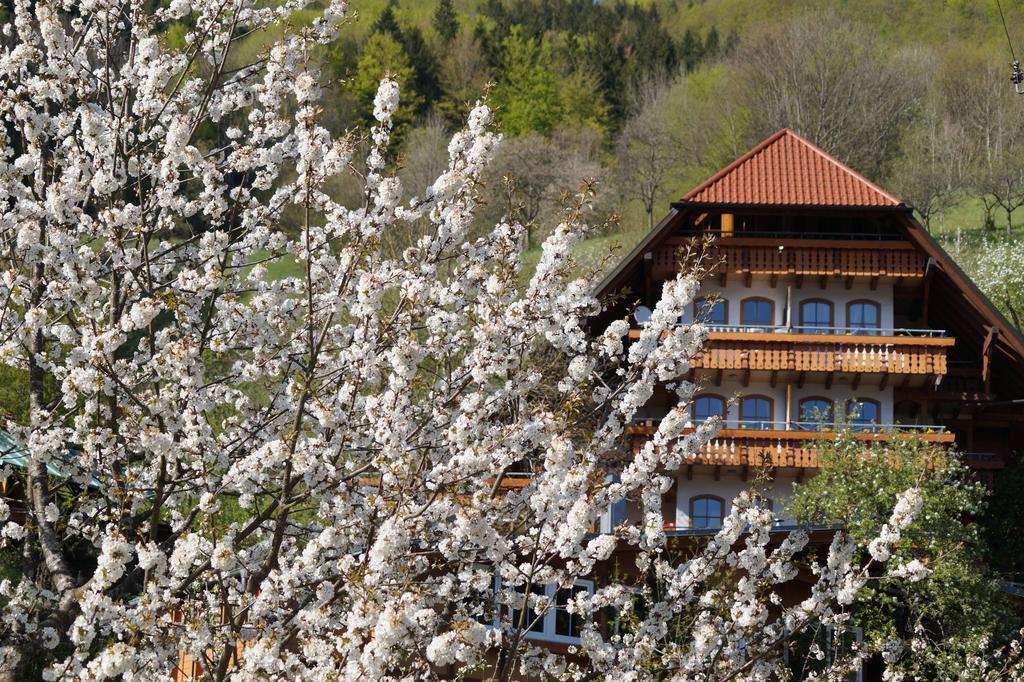 Ehrenmaettlehof Faisst Aparthotel Bad Peterstal-Griesbach Δωμάτιο φωτογραφία