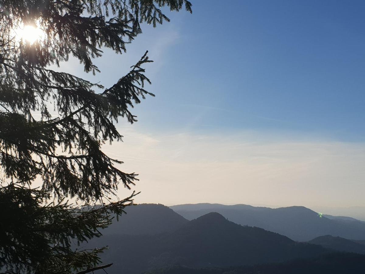 Ehrenmaettlehof Faisst Aparthotel Bad Peterstal-Griesbach Εξωτερικό φωτογραφία