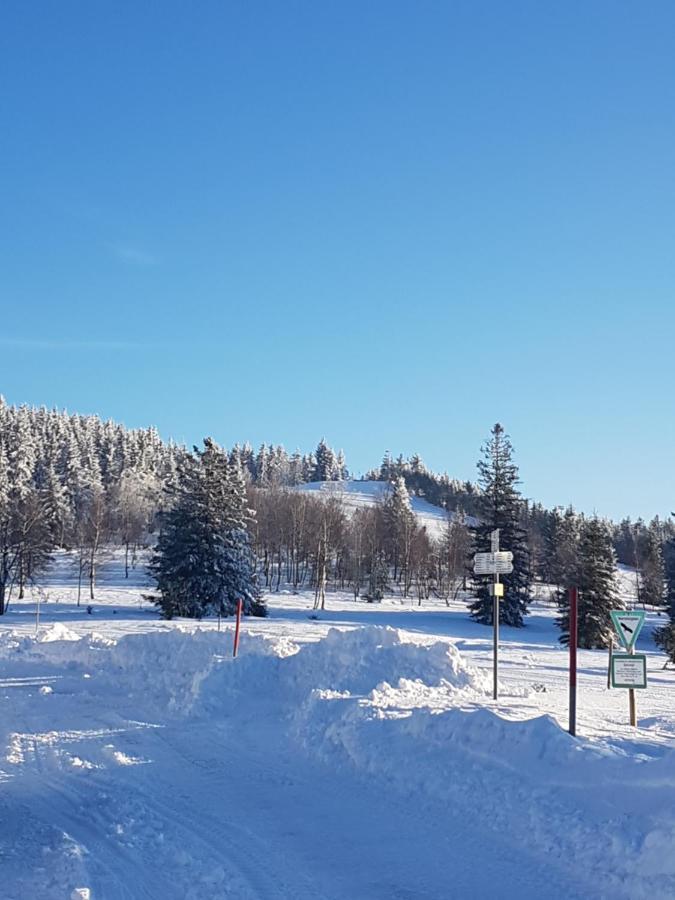 Ehrenmaettlehof Faisst Aparthotel Bad Peterstal-Griesbach Εξωτερικό φωτογραφία