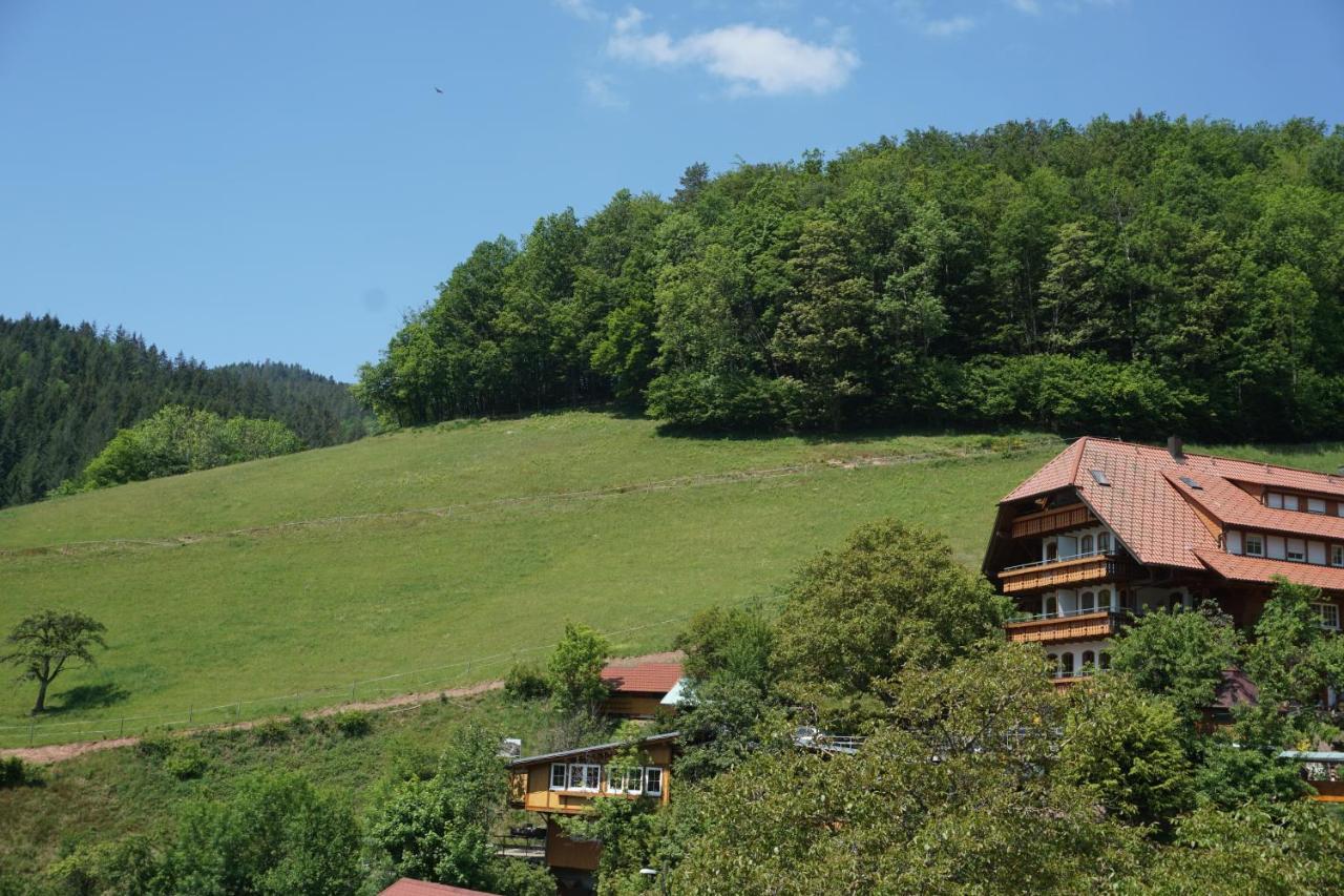Ehrenmaettlehof Faisst Aparthotel Bad Peterstal-Griesbach Εξωτερικό φωτογραφία